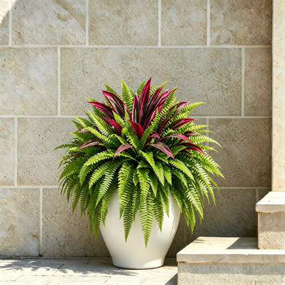 💥BUY 1 GET 1 FREE (2 PCS)🔥  Large UV-Resistant Artificial Fern & Red Dracaena Decorative Plants – Full, Lush & Fade-Resistant!