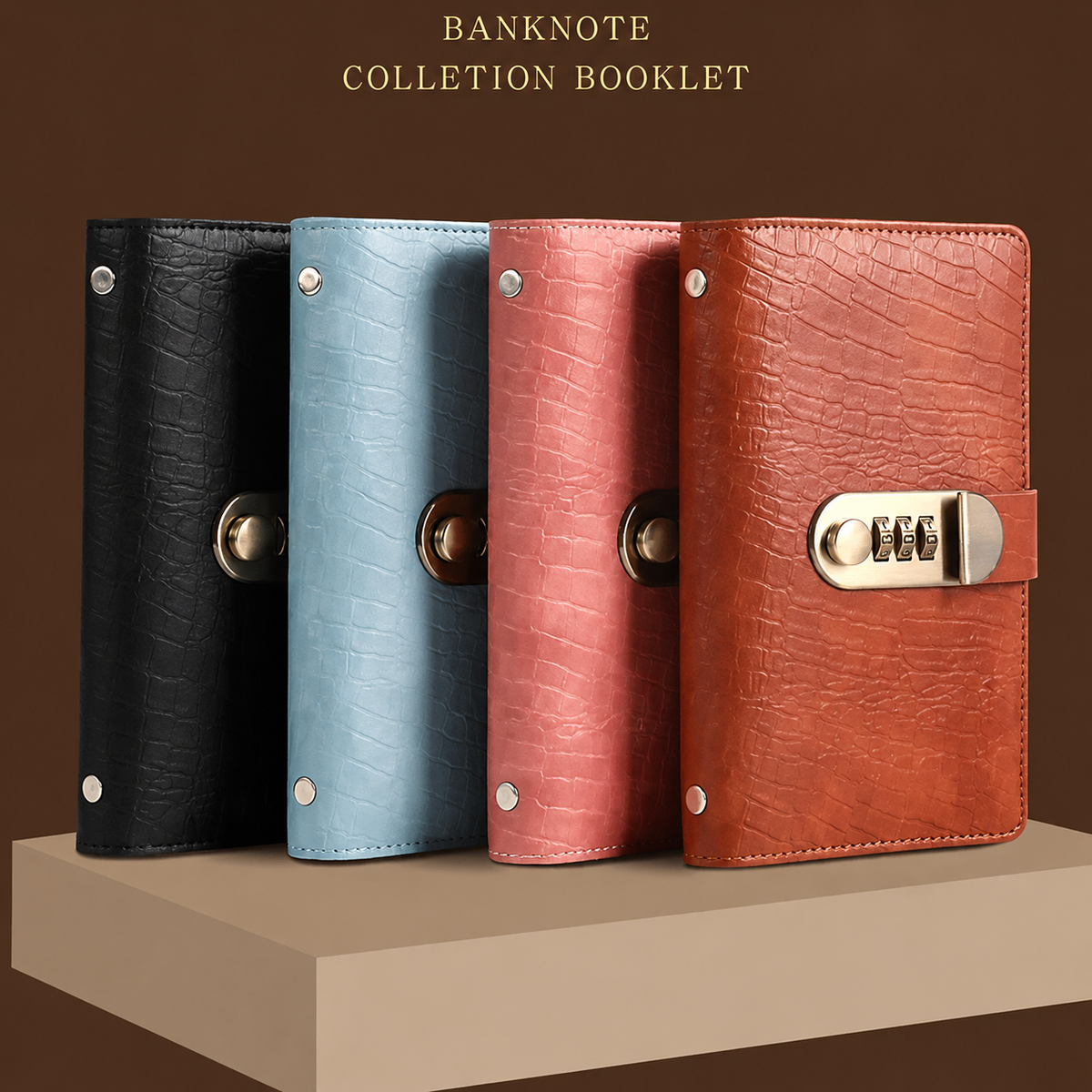 100 Transparent Pocket Currency Collectors Album