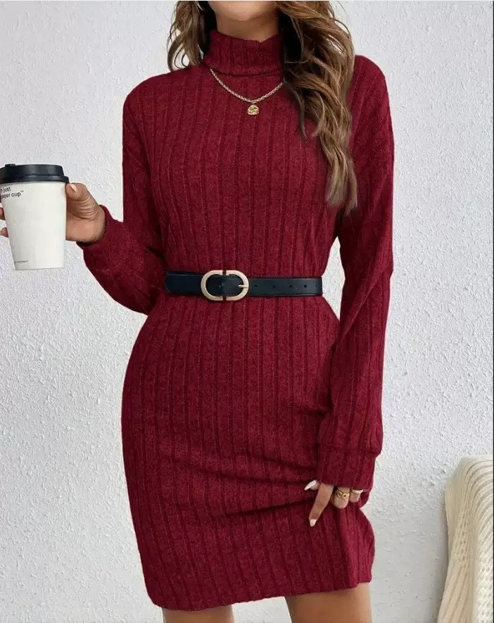Casual Turtleneck Knit Dress – Fall/Winter Women's Style