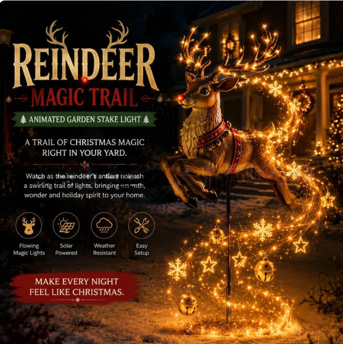 🎅 Solar Santa Garden Light – Magical Christmas Outdoor Decor ✨