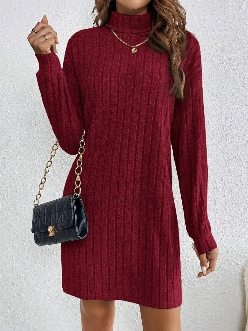 Casual Turtleneck Knit Dress – Fall/Winter Women's Style
