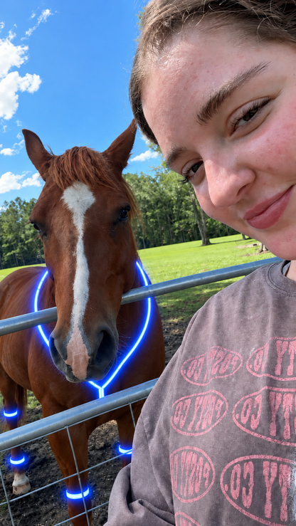 🏇LED Horse Night Riding Lights – Full-Body Glow Kit with Enhanced Visibility & 12 Lighting Modes✨